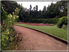 foto Parco botanico Terra Nostra